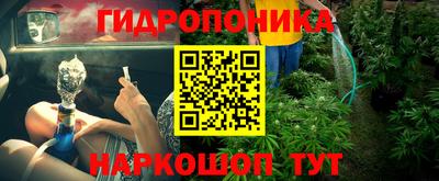 метадон Донской