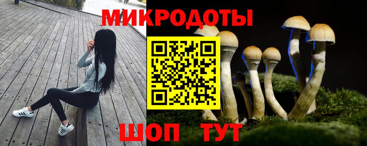 Галлюциногенные грибы Cubensis Королёв