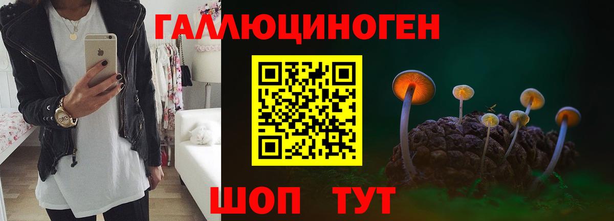 Королёв  Галлюциногенные грибы GOLDEN TEACHER  Вход с VPN 
